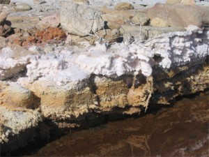 france_ramsarsite08