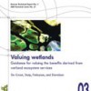 valuingwetlands07