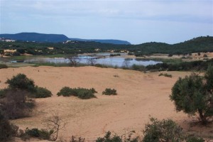 Small wetland site in Algiers, Algeria Wetland Site is Algiers, Algeria