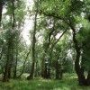 Fraxos- Trihonida wet forest located in proximity to the school