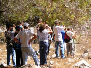 Observation des oiseaux à Ebel es Saki, Liban. Photo: SPNL