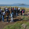 In the Marathonas wetland, Aegina, Greece
