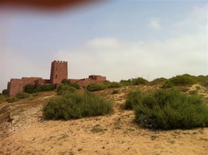 IMG_1998 (Small)