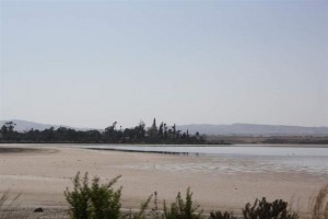 Lacs salés de Lacarna, Hala Sultan Tekke, Chypre