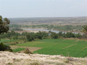 Visite Parc Sousse Massa, Photo Credit: Laurent Chazee/Tour du Valat